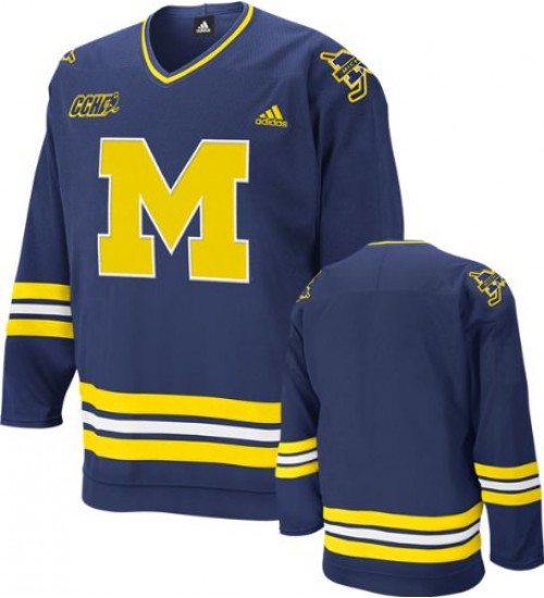 Custom 09-10 Dylan Larkin 19 Michigan Wolverines Away Hokcey Jersey Blue